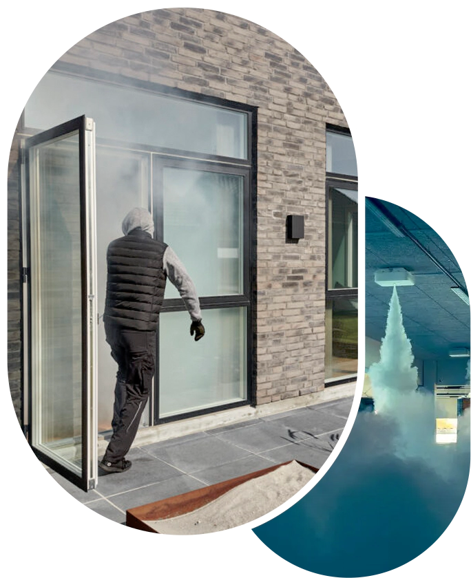 Fog security systems