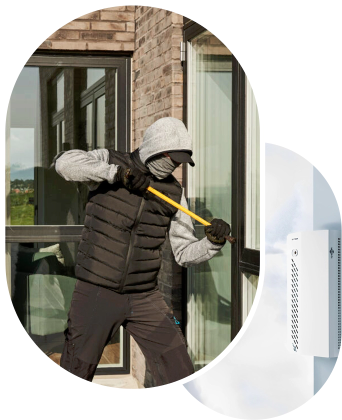 Security Systems